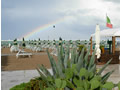 Arcobaleno