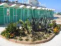 Orto botanico